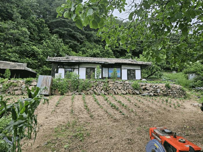 2025타경100391 법원경매 사진2 | 경북 봉화군 전답 경매