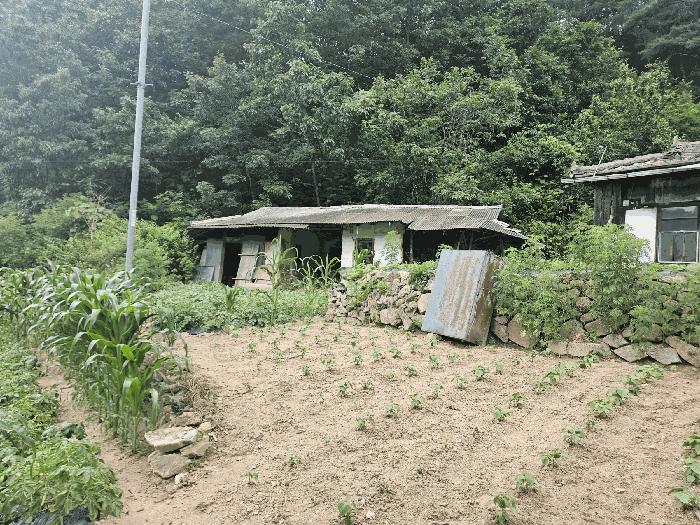 2025타경100391 법원경매 사진3 | 경북 봉화군 전답 경매