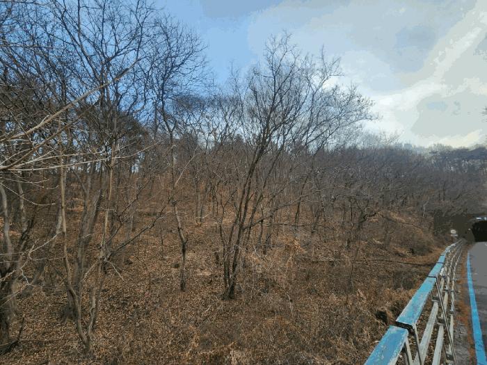 2025타경727 법원경매 사진2 | 전남 광양시 임야 경매
