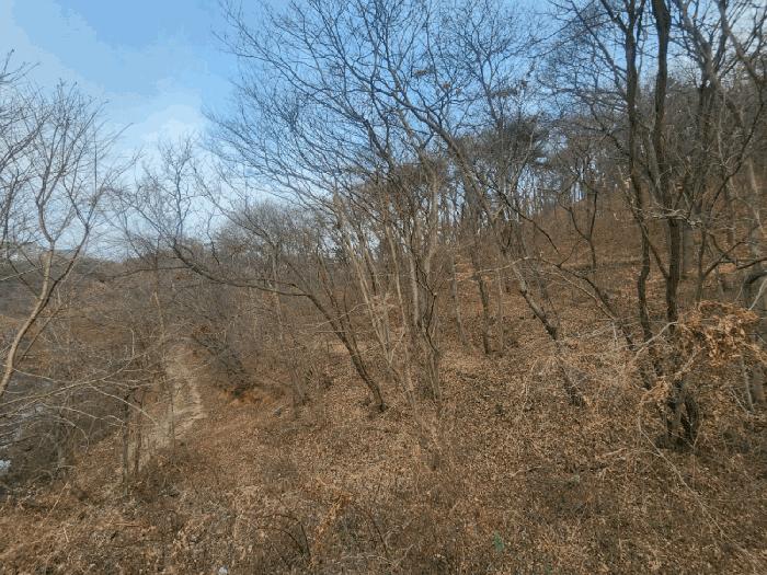 2025타경727 법원경매 사진3 | 전남 광양시 임야 경매