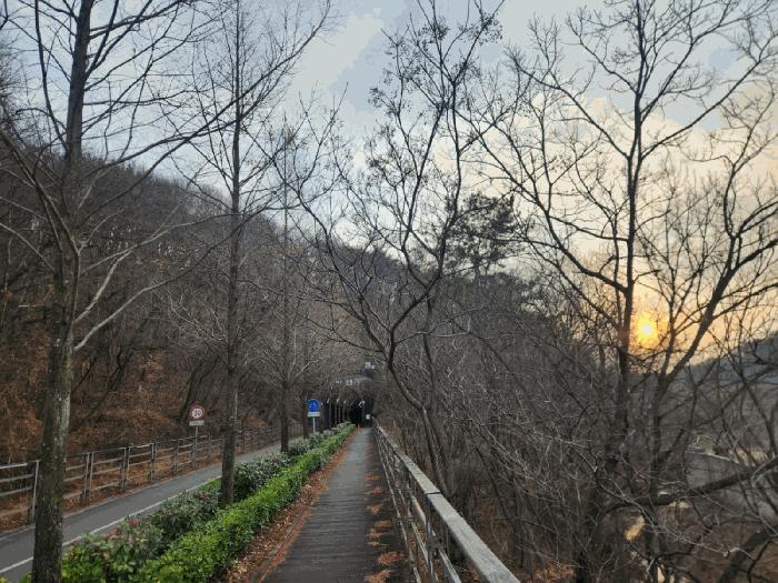 2025타경727 법원경매 사진4 | 전남 광양시 임야 경매