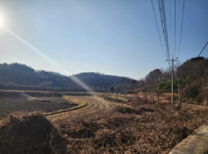 2025타경727 법원경매 사진5 | 전남 광양시 임야 경매
