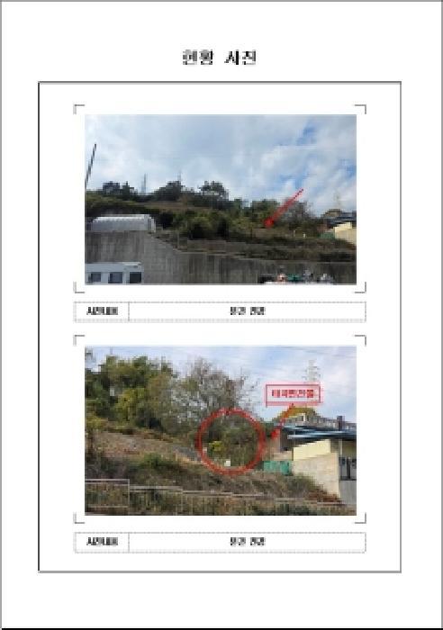 2025타경529 법원경매 사진5 | 전남 목포시 전 경매