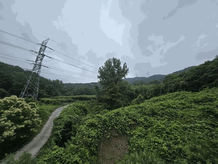 2025타경51387 법원경매 사진6 | 전남 광양시 임야 경매