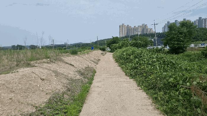 법원경매 2025타경368 사진3 | 포항시 북구 흥해읍 초곡리 173 답 경매