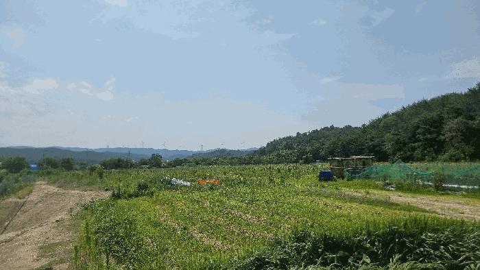 법원경매 2025타경368 사진6 | 포항시 북구 흥해읍 초곡리 173 답 경매