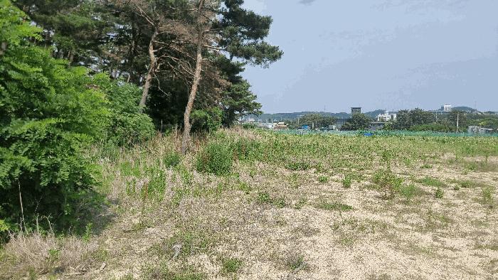 법원경매 2025타경368 사진7 | 포항시 북구 흥해읍 초곡리 173 답 경매