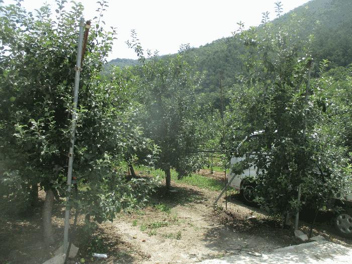 경상북도 포항시 북구 죽장면 석계리 233 법원경매 물건 대표사진