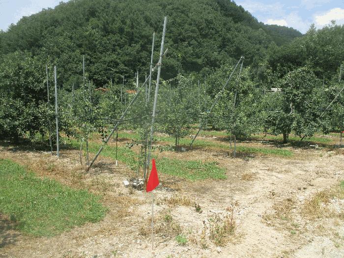 법원경매 2025타경388 사진3 | 포항시 북구 죽장면 석계리 233 전 경매