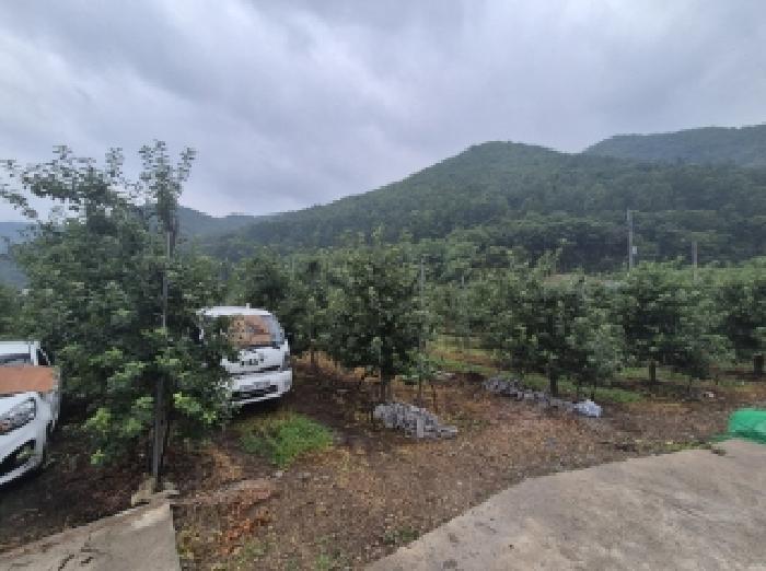 법원경매 2025타경388 사진5 | 포항시 북구 죽장면 석계리 233 전 경매