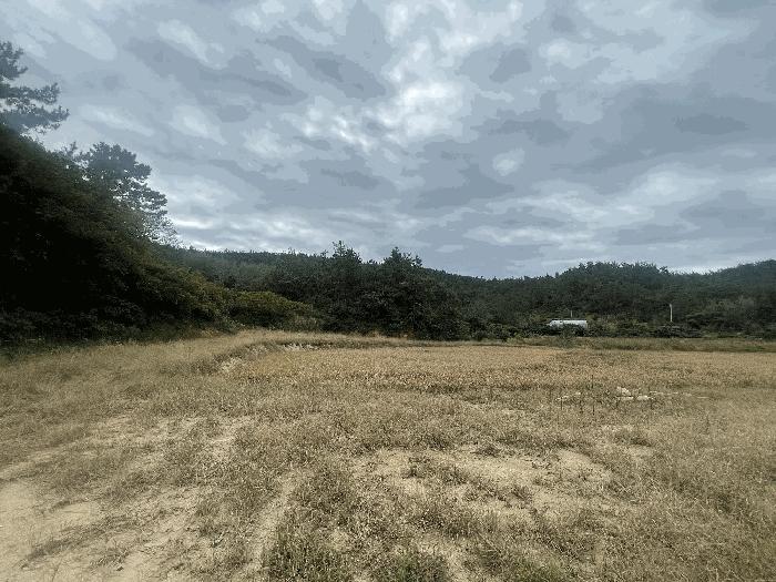 전라남도 신안군 압해읍 대천리 산120-4 법원경매 물건 대표사진