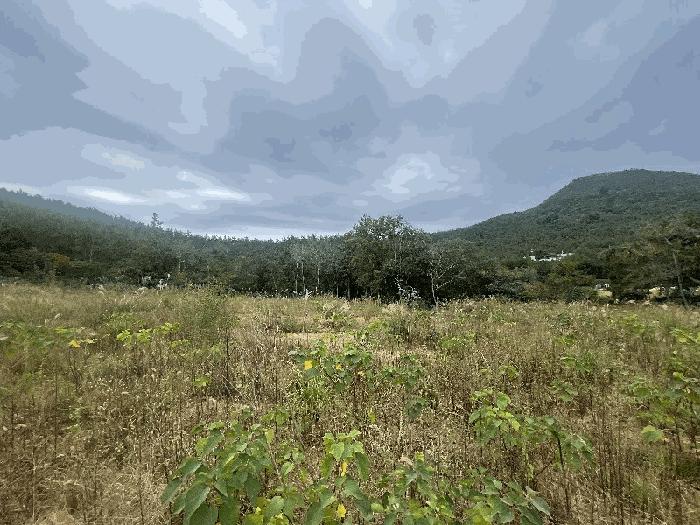 2025타경51498 법원경매 사진4 | 전남 신안군 대지,임야,전답 경매