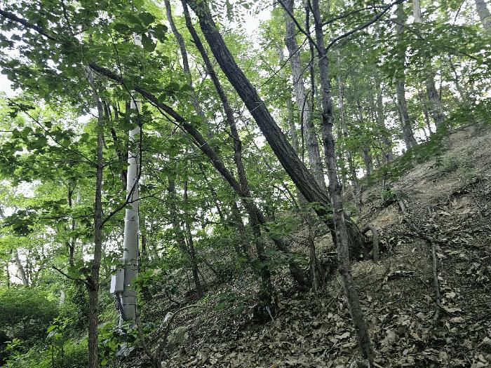 법원경매 2025타경3882 사진4 | 포항시 북구 흥해읍 대련리 임야 경매