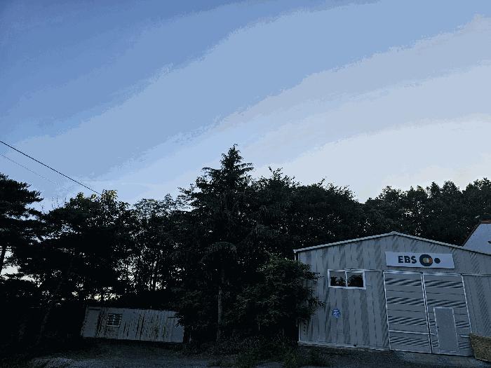 법원경매 2025타경3882 사진5 | 포항시 북구 흥해읍 대련리 임야 경매