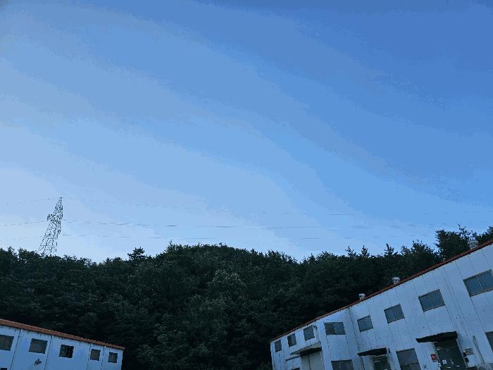 법원경매 2025타경3882 사진6 | 포항시 북구 흥해읍 대련리 임야 경매