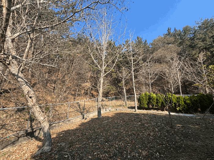 2025타경424 법원경매 사진2 | 부산 해운대구 임야 경매
