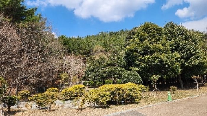 2025타경424 법원경매 사진5 | 부산 해운대구 임야 경매