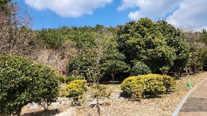 2025타경424 법원경매 사진6 | 부산 해운대구 임야 경매