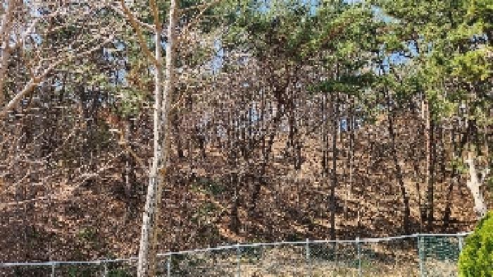2025타경424 법원경매 사진7 | 부산 해운대구 임야 경매
