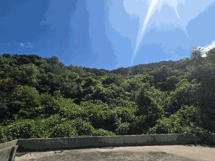 전북 정읍시 산내면 종성리 985 주택 사진 4