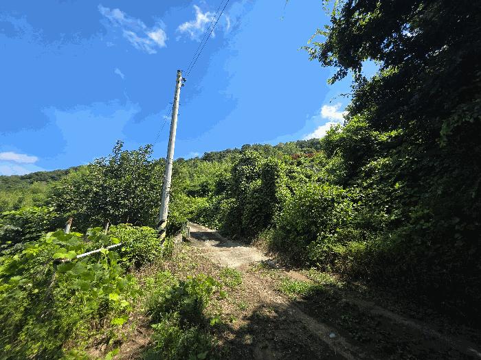 전북 정읍시 산내면 종성리 985 주택 사진 6