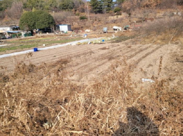 법원경매 2025타경52435 사진5 | 광양시 황길동 1095-5 답 경매
