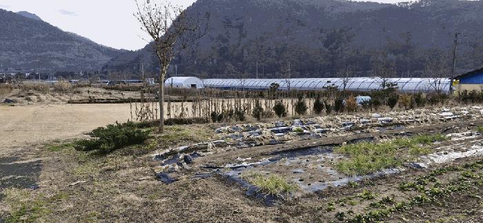 법원경매 2025타경31957 사진12 | 무주군 무주읍 주택건물 경매