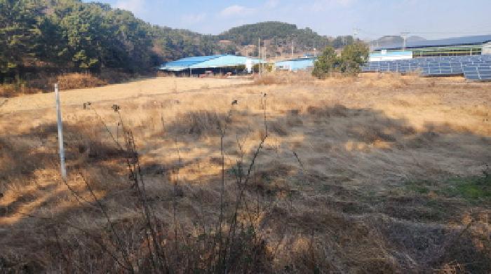 2025타경52523 법원경매 사진5 | 전남 고흥군 답 경매