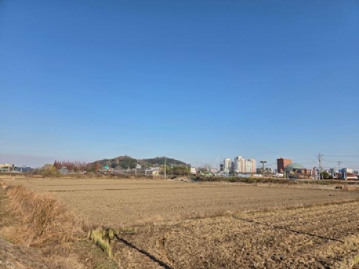 2025타경388 법원경매 사진7 | 전북 부안군 전답 경매