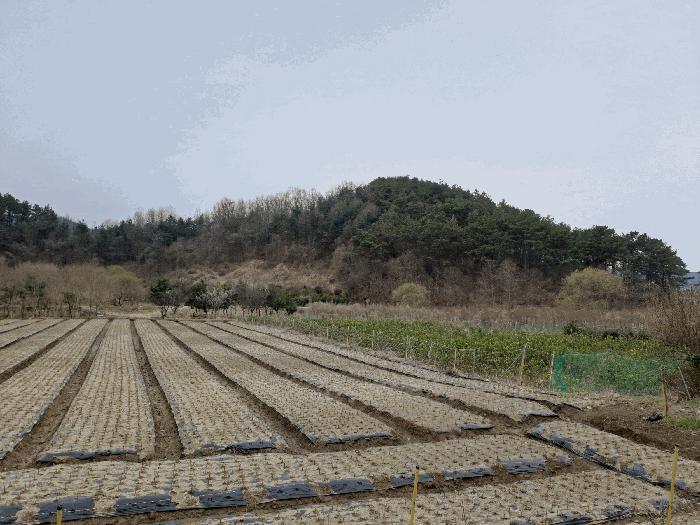 전북 완주군 소양면 죽절리 산98 임야 사진 2
