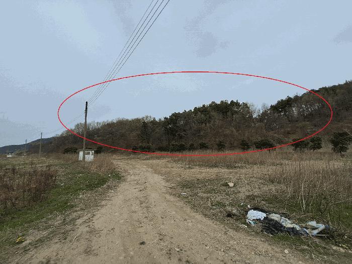 전북 완주군 소양면 죽절리 산98 임야 사진 5