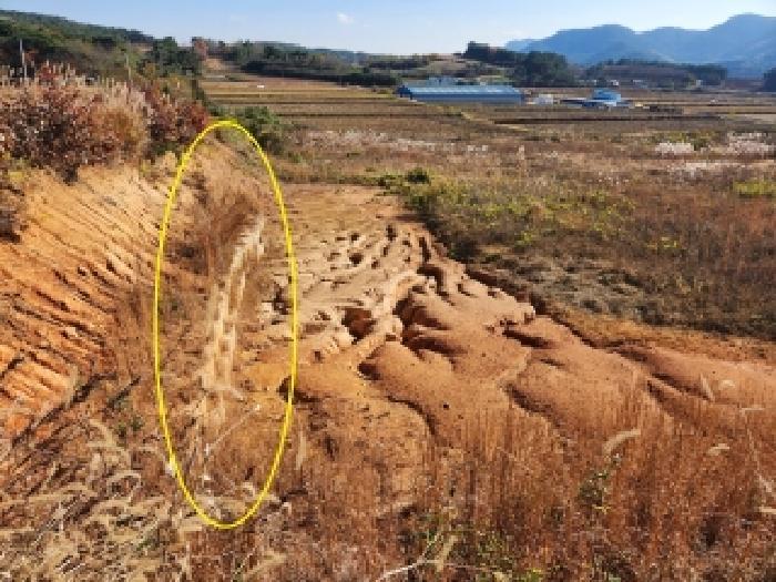 법원경매 2025타경30486 사진7 | 부안군 하서면 장신리 112-3 임야 경매