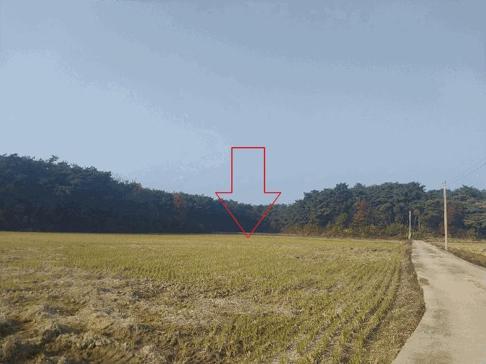 전북 부안군 줄포면 우포리 610-2 답 경매 물건 사진