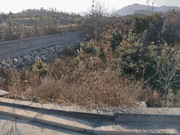 2025타경30533 법원경매 사진5 | 전북 부안군 도로 경매