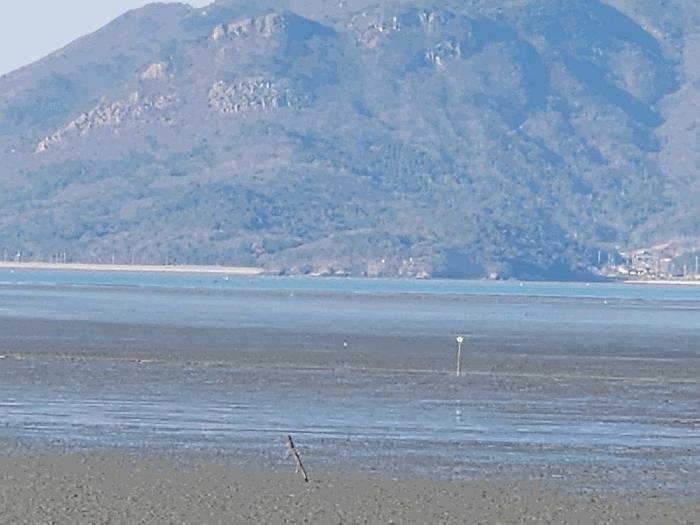 전북 고창군 심원면 하전리 지선 어업권 사진 2
