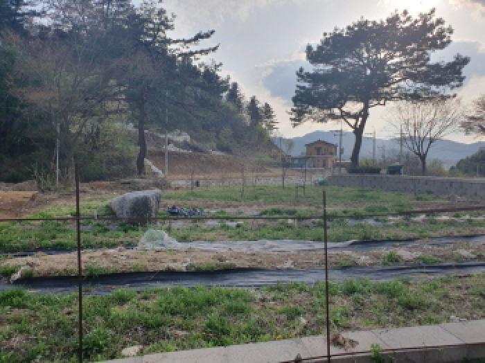 법원경매 2025타경71554 사진20 | 가평군 조종면 대보리 421-4 주택건물 경매