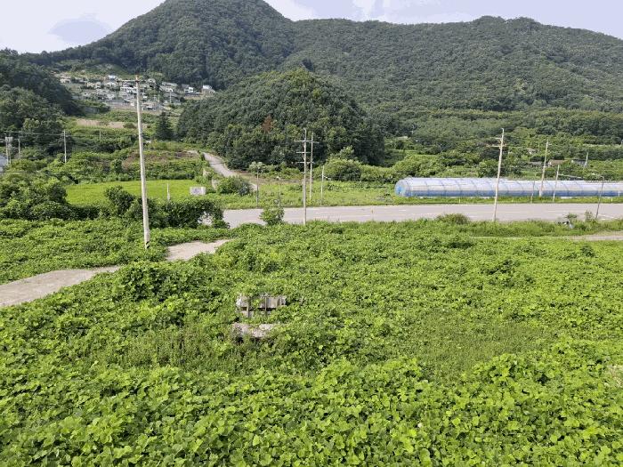 경기도 가평군 설악면 선촌리 159-4 법원경매 물건 대표사진