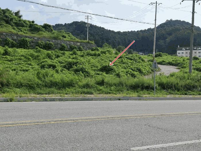 법원경매 2025타경72121 사진6 | 가평군 설악면 선촌리 159-4 임야 경매