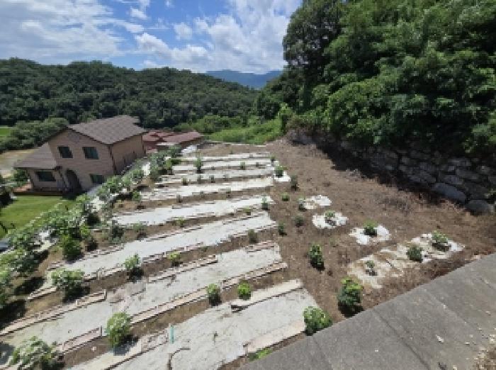 2025타경3367 법원경매 사진4 | 충북 진천군 임야 경매