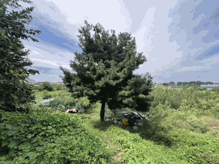 충북 청주시 청원구 주중동 186-30 전 사진 3