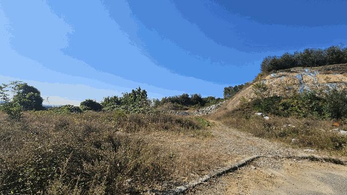 충북 청주시 흥덕구 옥산면 국사리 산3-5 임야 사진 3
