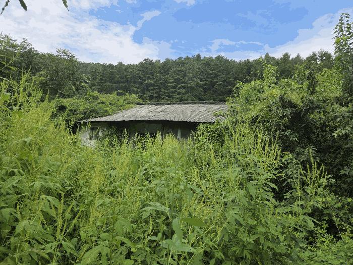 2025타경51637 법원경매 사진4 | 충북 보은군 전 경매