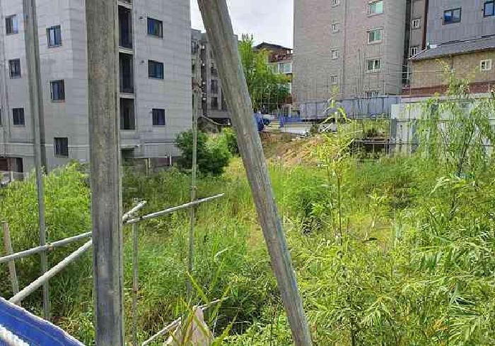 법원경매 2025타경723 사진20 | 평택시 지산동 864-23 대지 경매