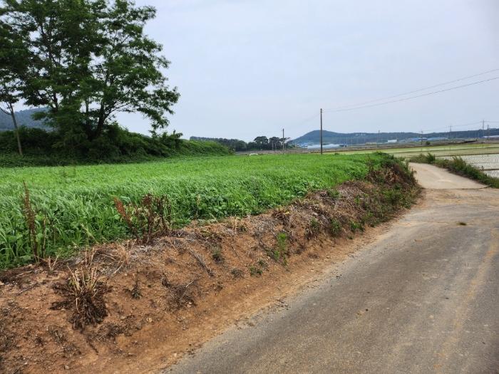 충청남도 서천군 비인면 장포리 115 법원경매 물건 대표사진