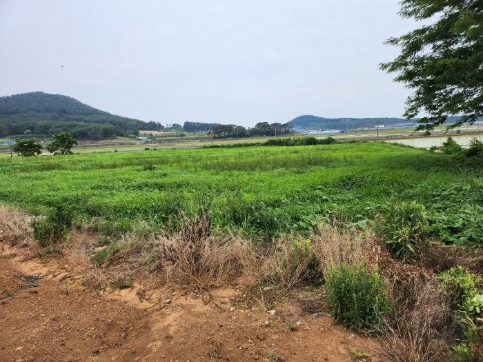 2024타경1753 법원경매 사진12 | 충남 서천군 답 경매