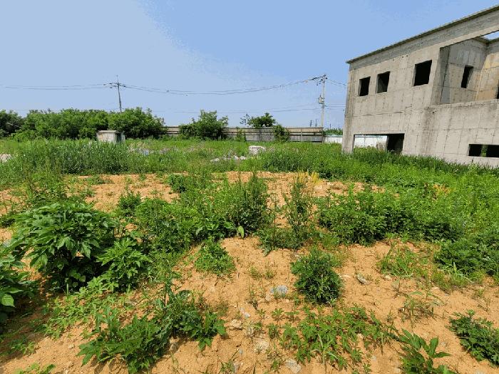 2025타경41926 법원경매 사진4 | 경기 평택시 기타 경매