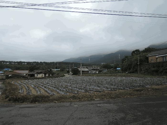 2025타경15791 법원경매 사진3 | 충남 보령시 답 경매