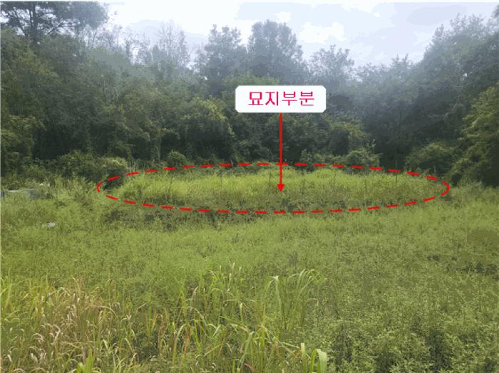 법원경매 2025타경31765 사진2 | 성주군 초전면 칠선리 434 전 경매