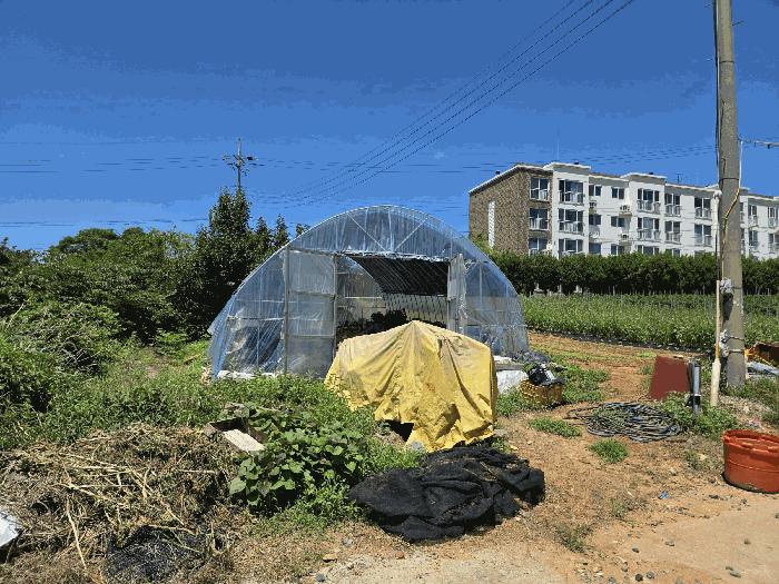 2025타경15846 법원경매 사진2 | 충남 보령시 임야 경매