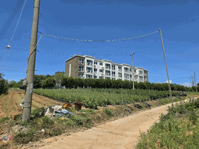 2025타경15846 법원경매 사진3 | 충남 보령시 임야 경매